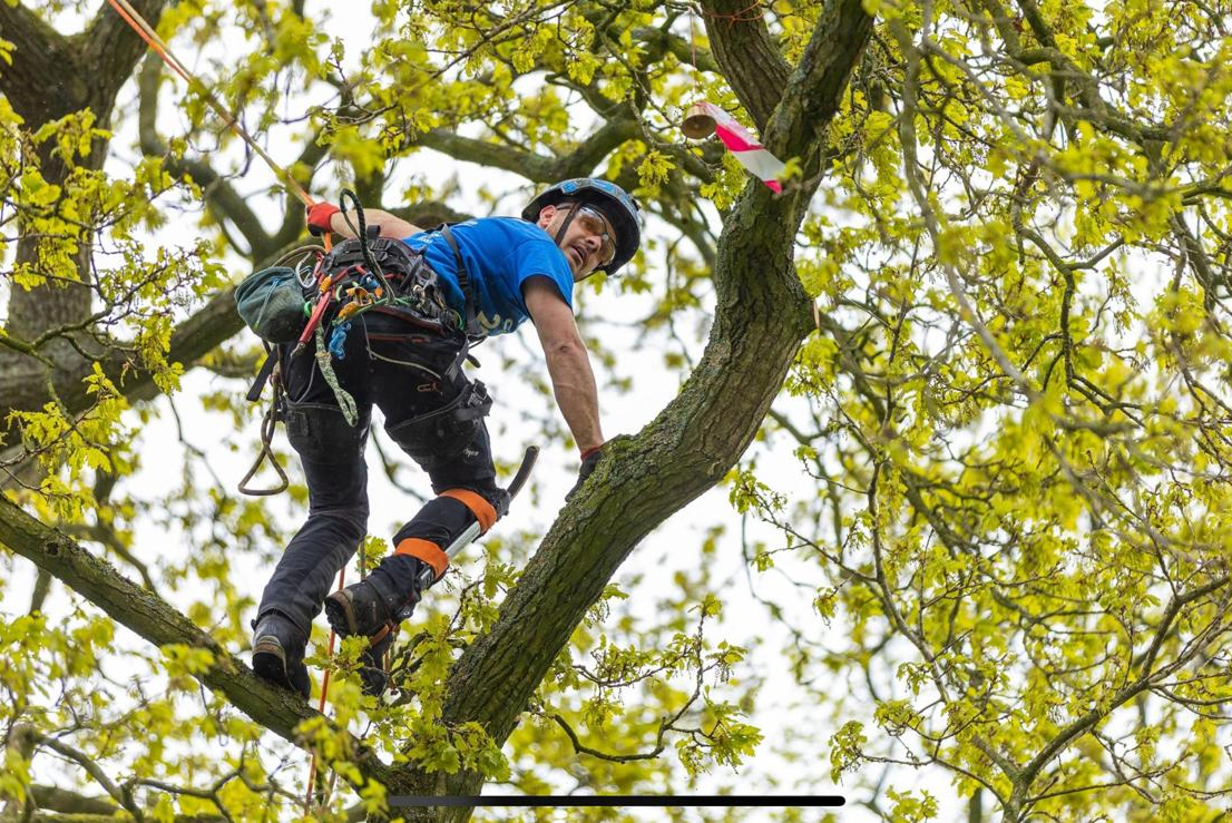 Competition climbing