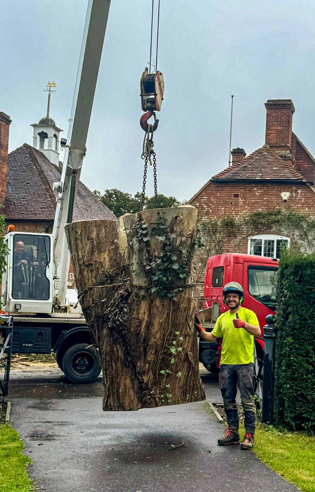 Tilia Tree Care team working on site clearance project